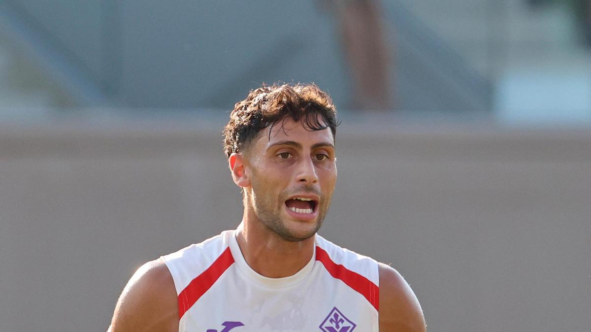 Mercato Toro, aggiornamento su Mandragora: manca l'accordo con la Fiorentina