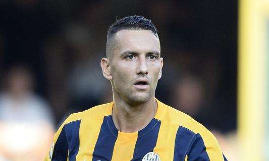 Hellas Verona, Jankovic: “Abbiamo meritato il pareggio con il Torino che è una squadra forte”