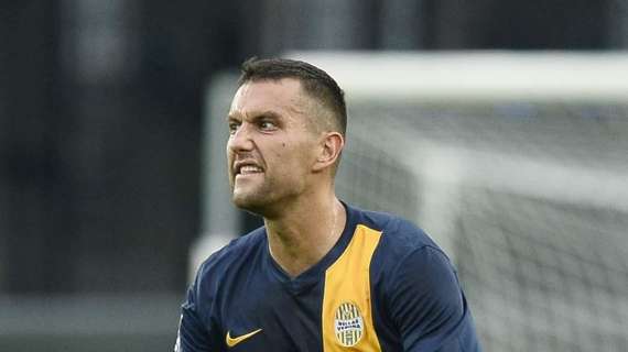 Hellas Verona, Jankovic: "Contro il Toro sarà partita offensiva. Posso ancora dare molto di più"