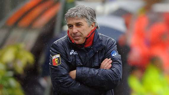 Genoa, Gasperini "Il Torino impari a perdere"