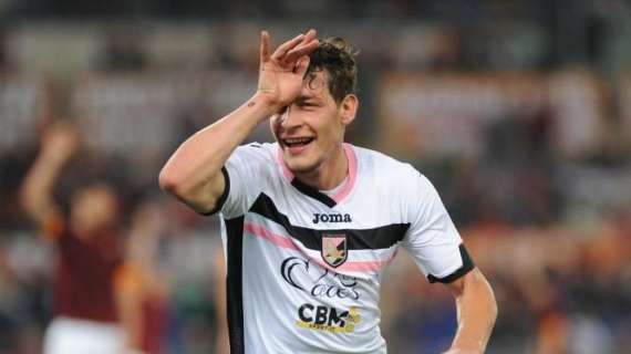 ESCLUSIVA TG - Palermo, Ds Gerolin: "Nessuna offerta del Torino per Belotti"