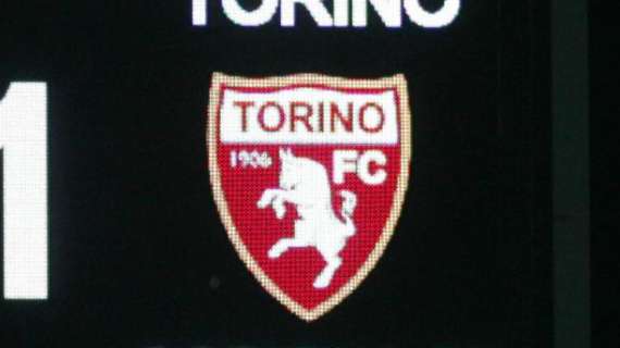 Torino, Gatto in Under 17