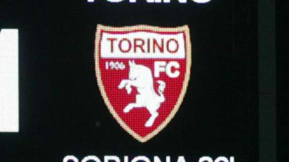 Torino, Stevanovic può uscire in prestito