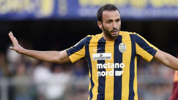 Verso Hellas Verona-Torino: Pazzini guadagna posizioni per un posto di fianco a Toni