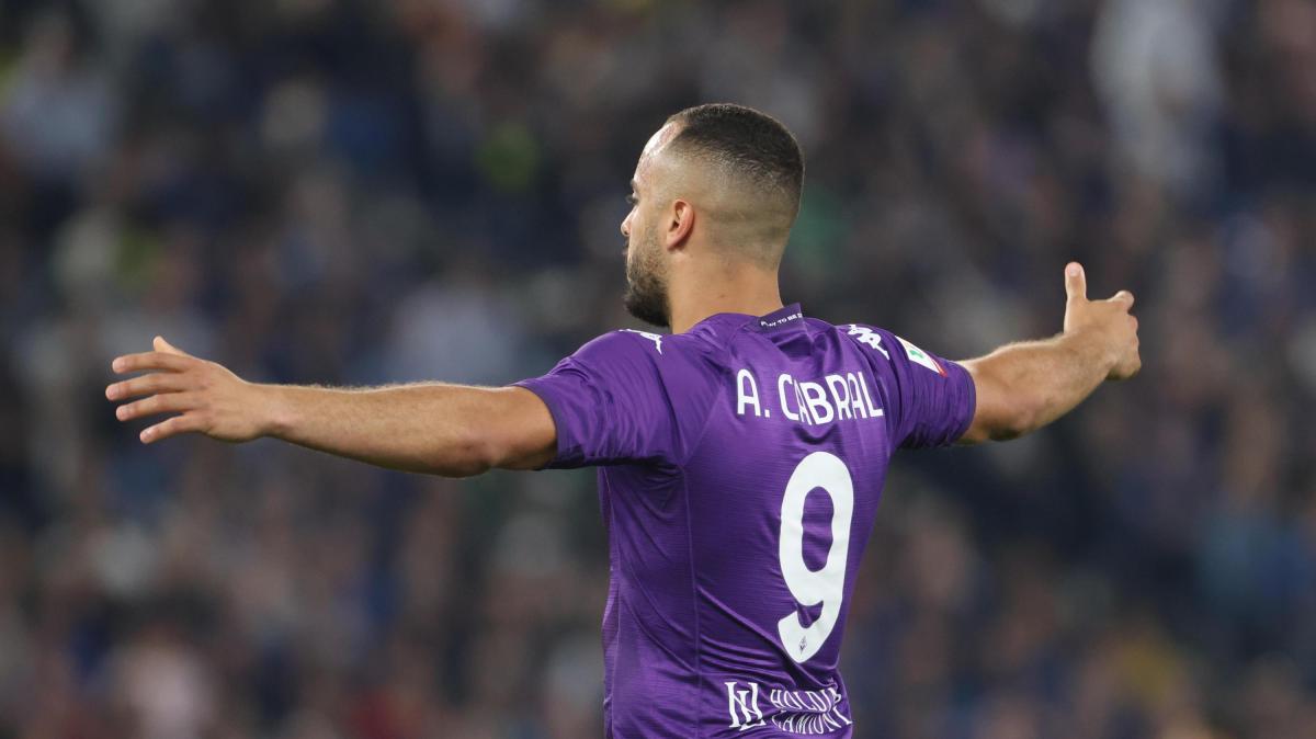 Immagine strip Primo Piano n.1