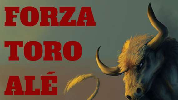 Una nuova canzone per i tifosi granata. Domenici "Forza Toro Alè"