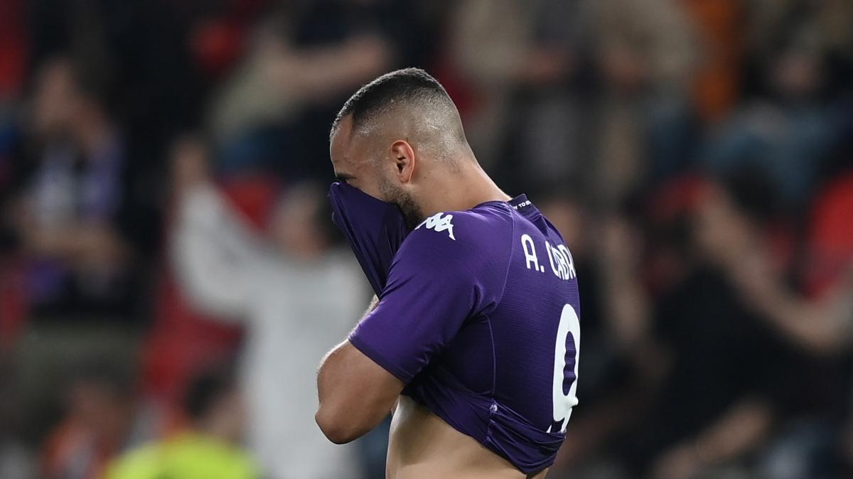 Immagine strip Primo Piano n.1