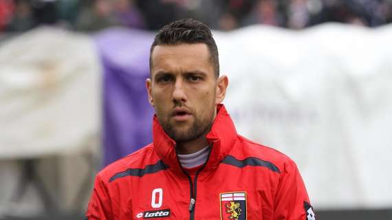 L'obiettivo granata Jankovic verso l'Hellas Verona