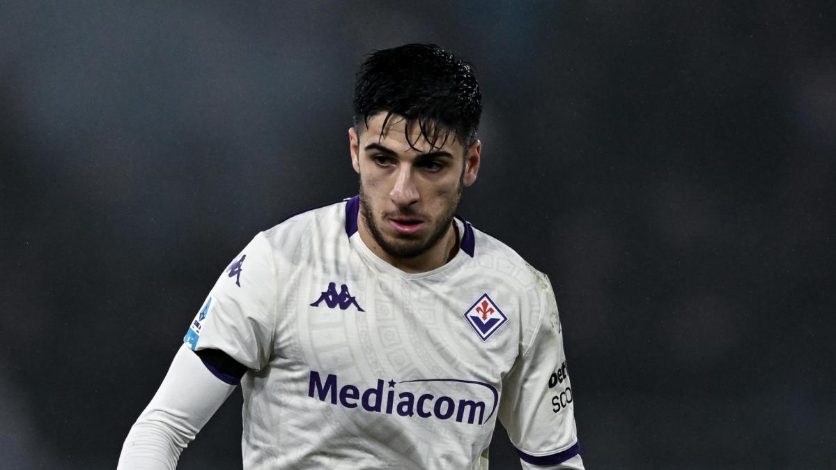 Fiorentina, si teme un lungo stop per Parisi 