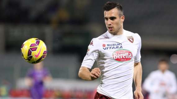 Il Napoli insiste per Maksimovic: Cairo inamovibile, ma oltre i 20 milioni di euro la trattativa può aprirsi