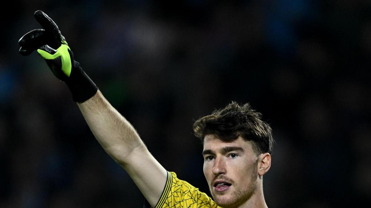 Toro, dubbi anche in porta in vista del Lecce tra Israel e Paleari