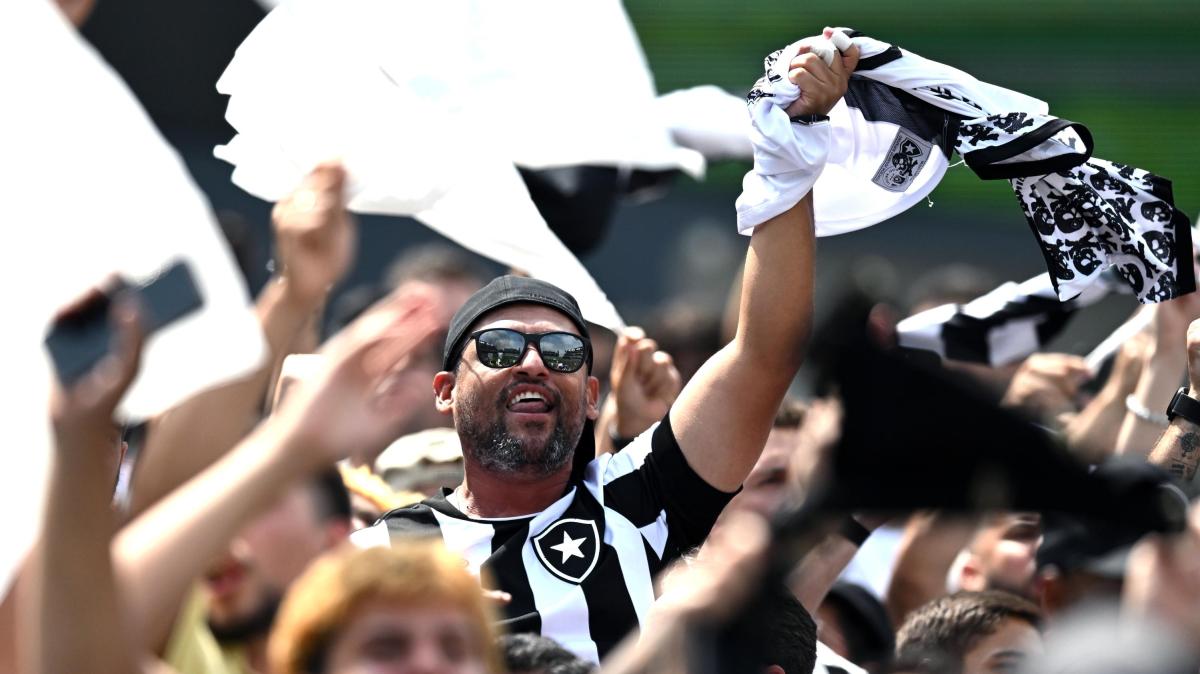 Immagine strip Primo Piano n.1