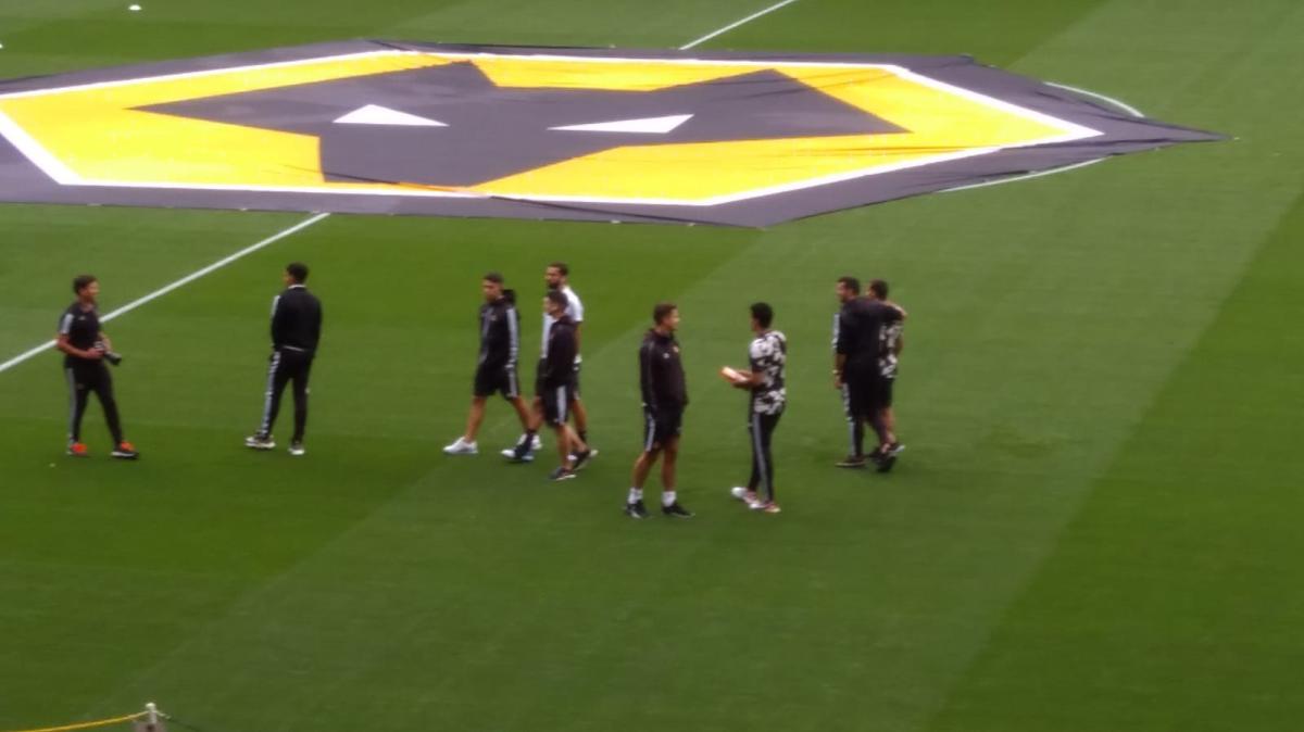 E alla fine il Torino se la passa meglio dei Wolves. Come si è ridotto il Wolverhampton? Tutti i motivi della retrocessione in Championship