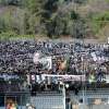Cagliari-Ascoli, sfida che vale i playoff: i precedenti tra Casteddu e Picchio 