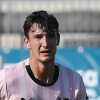 Mercato Ascoli: Picchio in chiusura con la Ternana per Damiani