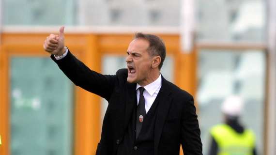 Vivarini in conferenza: "Il Lecce mi ha impressionato, servirà una prestazione di livello"