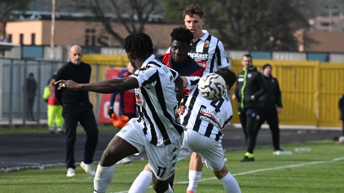 Ascoli da brividi: squadra travolgente e tifosi ovunque, lo spettacolo è totale