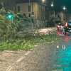 TANEWS24 - Bergamo travolta dal vento: raffiche oltre 98 km/h e alberi abbattuti ovunque
