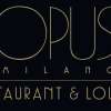 Opus Restaurant Milano: l'esperienza gastronomica si fonde con l'arte dello spettacolo