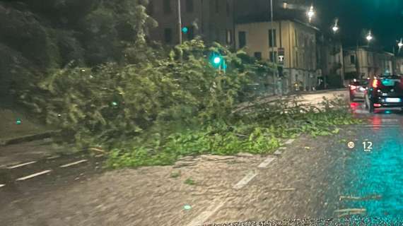 TANEWS24 - Bergamo travolta dal vento: raffiche oltre 98 km/h e alberi abbattuti ovunque