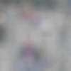 Immagine news 65