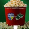 L'Avellino Basket al cinema: domenica la gara di Verona in diretta streaming