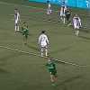 VIDEO - Avellino-Trapani 2-0, gli highlights