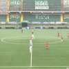 VIDEO - Primavera 3, Avellino-Foggia 3-0: gli highlights