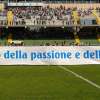 Immagine news 27