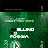 Primavera 3, parte la prevendita di Avellino-Foggia 