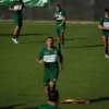 È il giorno del Memorial, ecco i numeri ufficiali dell'Avellino