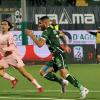Avellino a La Spezia con pochi dubbi, possibile ballottaggio in attacco