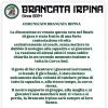 Brancata Irpina: "Contestazione rivolta esclusivamente al coach. Il nostro supporto alla maglia e ai giocatori non mancherà mai"