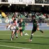 Avellino-Spezia 0-0, fine primo tempo: i lupi ci provano, ma Palmiero rischia di rovinare tutto