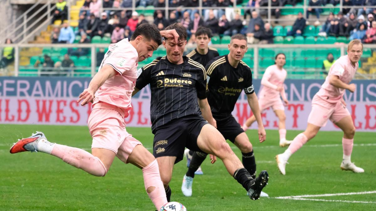 Palermo, Pierozzi: "Frosinone? Pensiamo all'Avellino, dobbiamo fare punti con tutte"