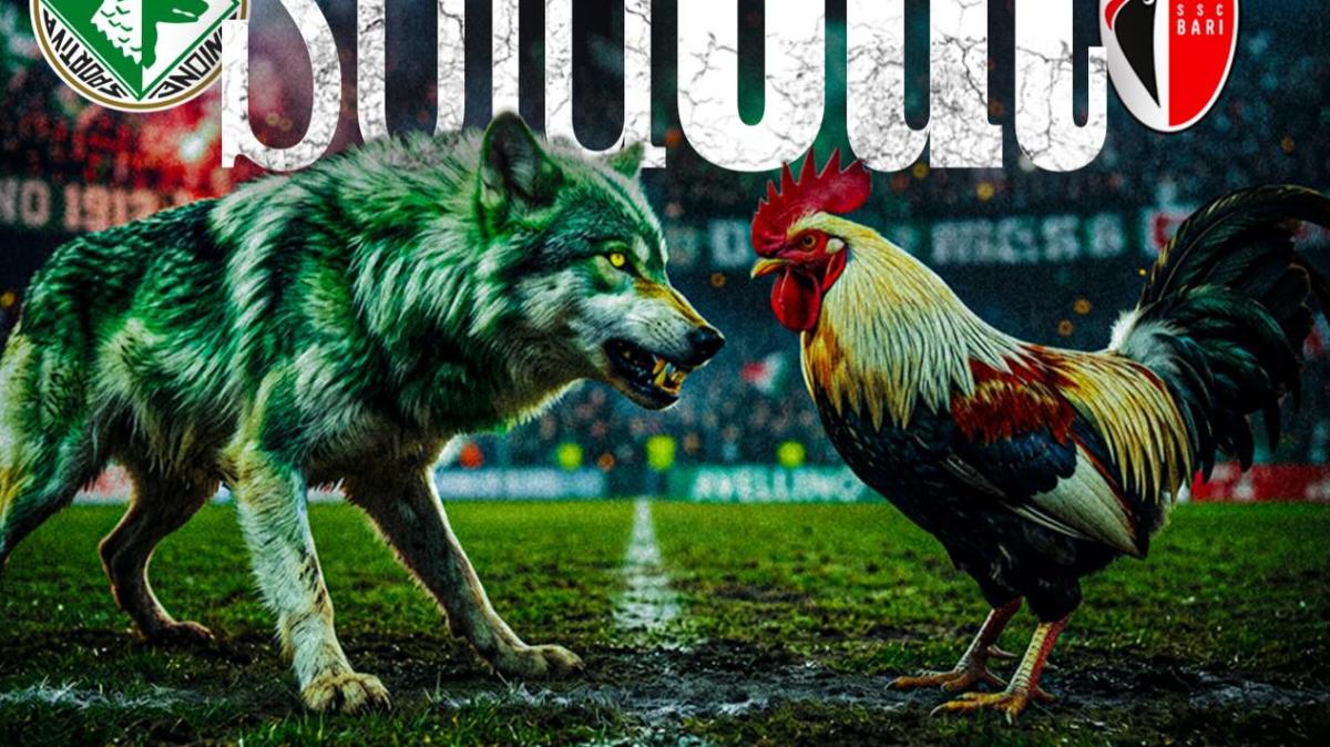 Avellino-Bari è sold-out. Partenio-Lombardi gremito per la gara di domani sera