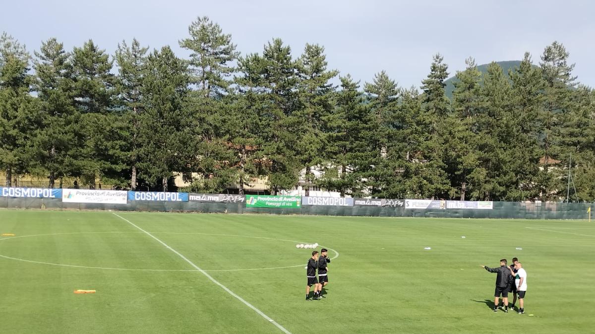 Avellino, raduno e ritiro: ecco quando. Per i lupi tanta Serie A in estate