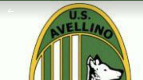 US Avellino Unico Amore compie un anno, il fondatore: "D'Agostino ha risvegliato un entusiasmo travolgente. Sogno un mega ritrovo tutti insieme"