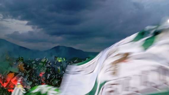Campagna fidelizzazione Avellino a gonfie vele: obiettivo 1.500 tessere entro il weekend