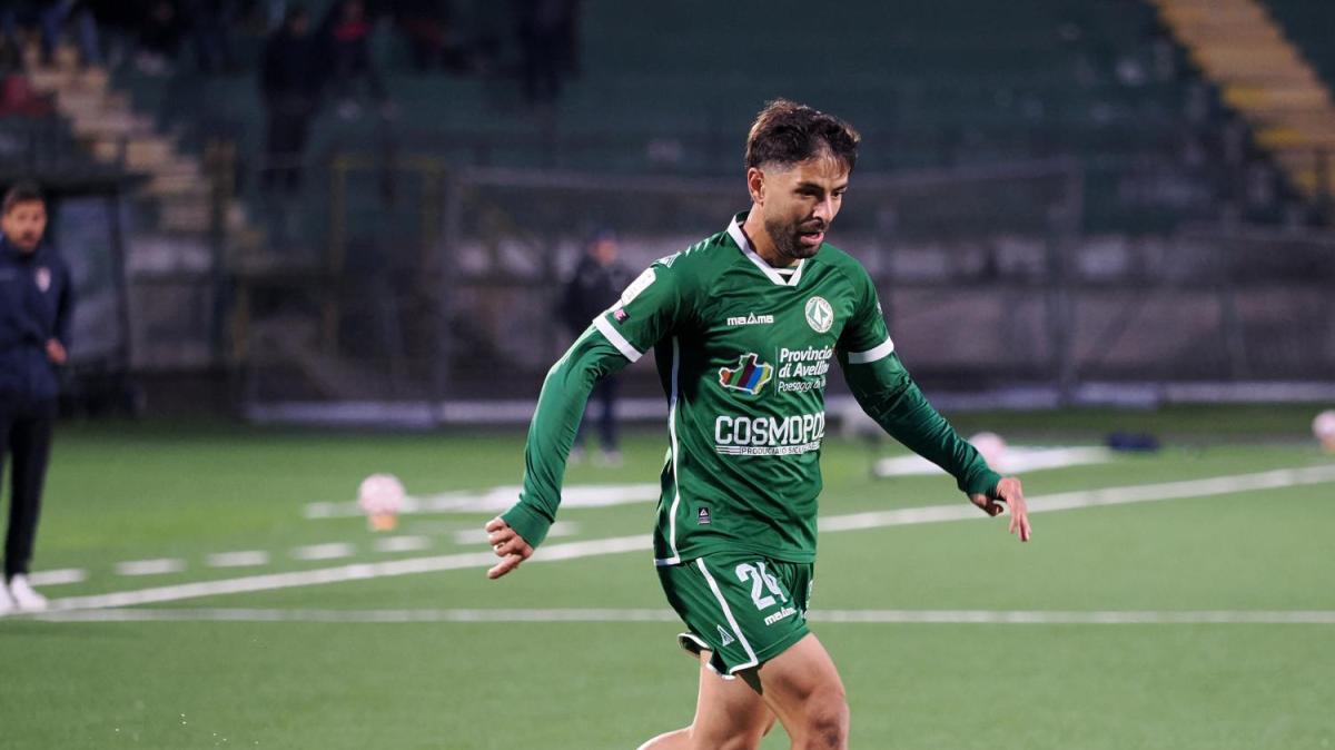 Biancolino, pochi dubbi. Le ultime sui lupi in vista del Venezia