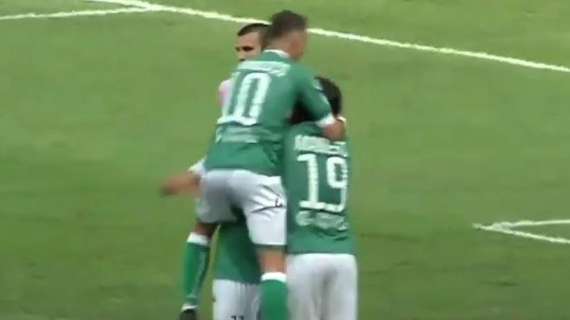 VIDEO - Gli highlights di Palermo-Avellino 0-2
