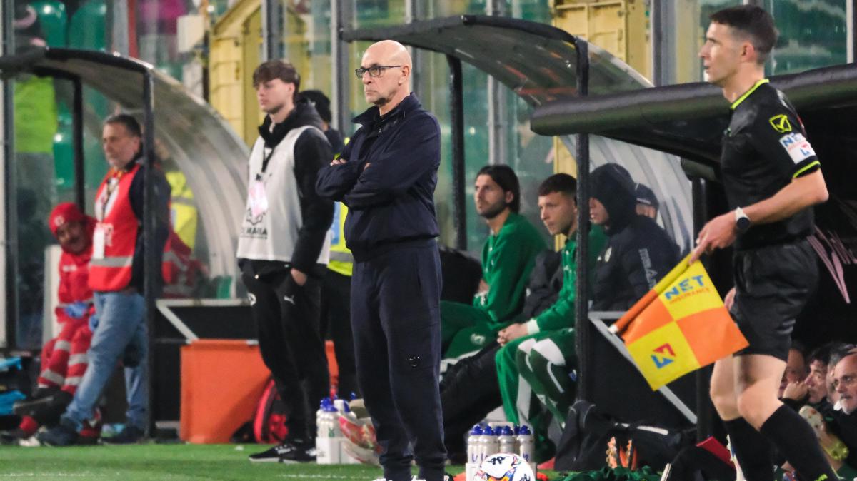 Criniti promuove Ballardini: "Predestinato, ad Avellino ha fatto un grande lavoro"