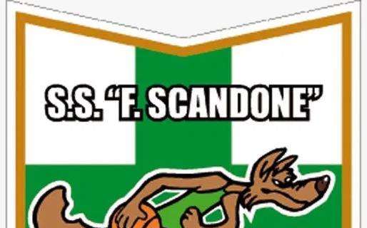 Logo Scandone, l'avvocato Rotondi presenta un'offerta per un soggetto terzo