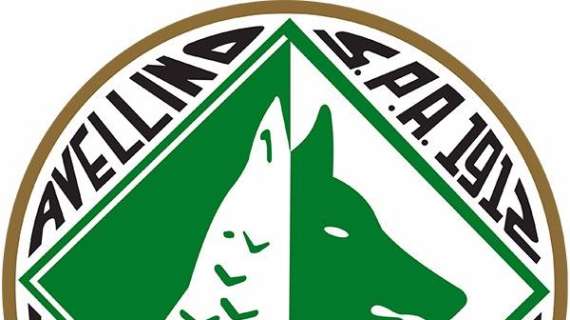 Calcio Avellino-Associazione per la Storia: c'è l'ok per il logo