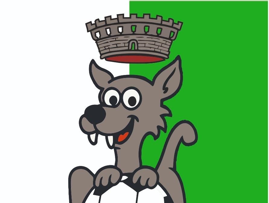 Il Club Baronia Biancoverde: "Ci auguriamo che la Provincia rinnovi la sponsorizzazione all'US Avellino"