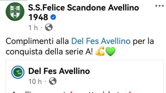 Delfes promossa, i complimenti della Felice Scandone