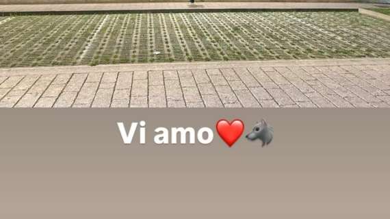 Il post social di Ardemagni per festeggiare la promozione dell'Avellino: "Vi amo"