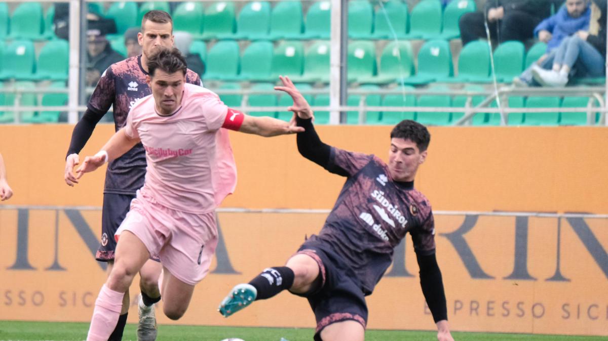 Palermo, Segre: "A Padova abbiamo giocato in casa, ora riposiamoci, poi penseremo all'Avellino"