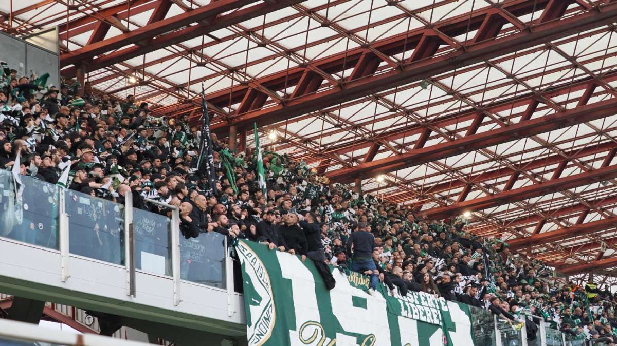 FOTOGALLERY - Lo spettacolo dei tifosi irpini a Cesena: e tu c'eri?