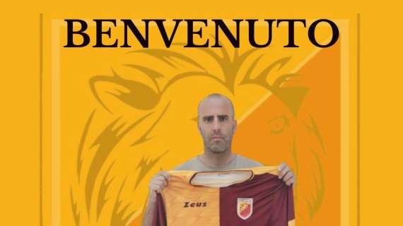 Lions Grotta, ufficiale l'ingaggio di Francesco Paolo D'Innocenzo